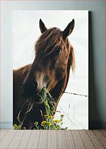 Πίνακας, Horse Eating Grass Άλογο Τρώει Χόρτο