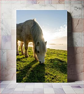 Πίνακας, Horse Grazing at Sunrise Άλογα που βόσκουν στο Sunrise