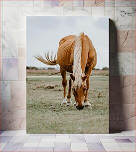 Πίνακας, Horse Grazing in a Field Άλογο που βόσκει σε χωράφι