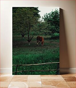 Πίνακας, Horse Grazing in Green Pasture Βόσκηση αλόγων σε πράσινο λιβάδι