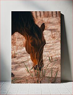 Πίνακας, Horse Grazing in Sandy Field Βόσκηση αλόγων στο αμμώδες πεδίο