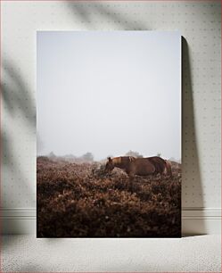 Πίνακας, Horse in Misty Field Άλογο στο Misty Field