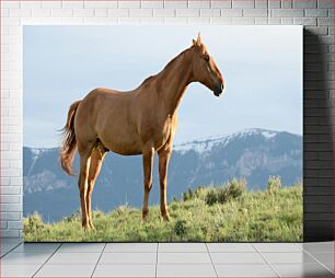 Πίνακας, Horse in Nature Άλογο στη φύση
