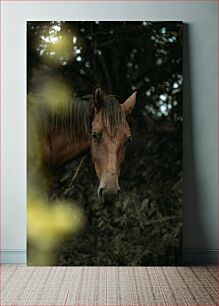 Πίνακας, Horse in Nature Άλογο στη φύση