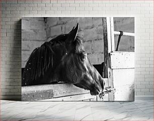 Πίνακας, Horse in Stable Άλογο στο στάβλο