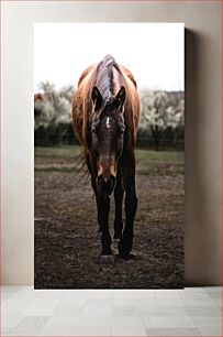 Πίνακας, Horse in the Field Άλογο στο χωράφι