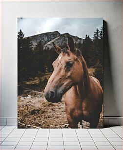 Πίνακας, Horse in the Mountains Άλογο στα βουνά