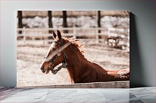 Πίνακας, Horse in the Paddock Άλογο στο Paddock