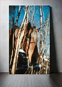 Πίνακας, Horse in the Woods Άλογο στο δάσος