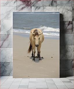 Πίνακας, Horse on the Beach Άλογο στην παραλία