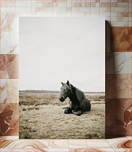 Πίνακας, Horse Resting on Field Άλογο που στηρίζεται στο χωράφι