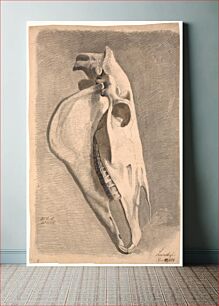 Πίνακας, Horse skull by Johan Thomas Lundbye