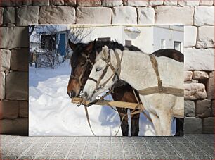 Πίνακας, Horses close-up. Settlement Slavnoe near Vinnitsa, Ukraine