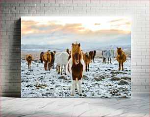 Πίνακας, Horses in a Snowy Field Άλογα σε ένα χιονισμένο χωράφι