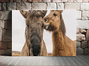 Πίνακας, Horses in Close-Up Άλογα σε κοντινό πλάνο
