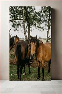 Πίνακας, Horses in Nature Άλογα στη φύση