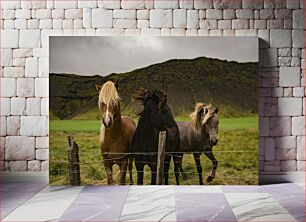 Πίνακας, Horses in the Countryside Άλογα στην ύπαιθρο