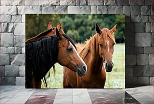 Πίνακας, Horses in the Field Άλογα στο χωράφι