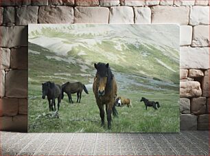 Πίνακας, Horses in the Meadow Άλογα στο Λιβάδι