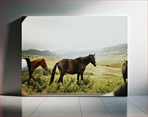 Πίνακας, Horses in the Wild Άλογα στην άγρια ​​φύση
