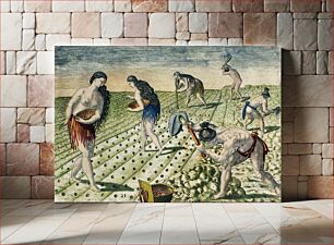 Πίνακας, How they till the soil and plant ; Storing their crops in the public granary illustration from Grand voyages (1596) by Theodor de