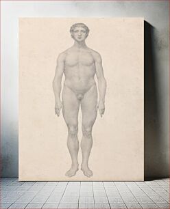 Πίνακας, Human Figure, Anterior View, Undissected (Finished Study for Table VI) by George Stubbs