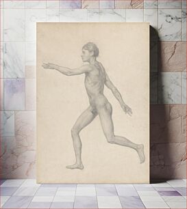 Πίνακας, Human Figure, Lateral View, Undissected (Finished Study for Table VIII) by George Stubbs