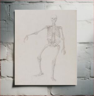 Πίνακας, Human Skeleton, Anterior View (Right Arm Outstretched; finished study for unpublished table) by George Stubbs