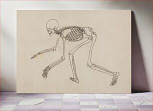 Πίνακας, Human Skeleton, Lateral View by George Stubbs