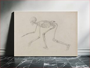 Πίνακας, Human Skeleton, Lateral View (in Crawling Posture; finished study for an unpublished table) by George Stubbs