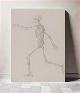 Πίνακας, Human Skeleton, Lateral View Seen from the Left, Running (Finished Study for Table III) by George Stubbs