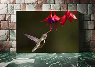 Πίνακας, Hummingbird and Flower Κολίμπρι και λουλούδι