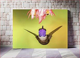 Πίνακας, Hummingbird and Flower Κολίμπρι και λουλούδι