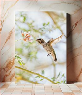 Πίνακας, Hummingbird and Flower Κολίμπρι και λουλούδι