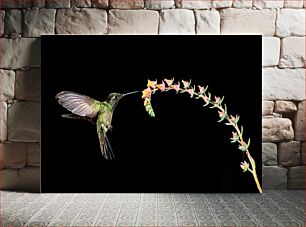 Πίνακας, Hummingbird and Flower Κολίμπρι και λουλούδι