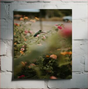 Πίνακας, Hummingbird in a Flower Garden Κολίμπρι σε έναν κήπο με λουλούδια