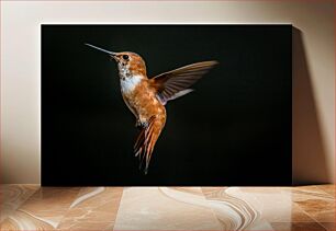 Πίνακας, Hummingbird in Flight Κολίμπρι σε πτήση