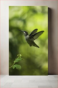 Πίνακας, Hummingbird in Flight Κολίμπρι σε πτήση