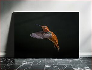 Πίνακας, Hummingbird in Flight Κολίμπρι σε πτήση