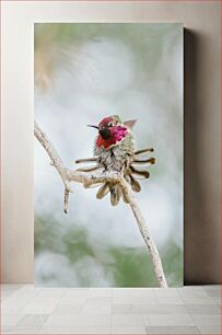 Πίνακας, Hummingbird on a Branch Κολίμπρι σε ένα κλαδί