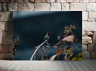 Πίνακας, Hummingbird Perched on a Branch Κολίμπρι σκαρφαλωμένο σε ένα κλαδί