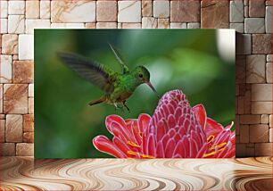 Πίνακας, Hummingbird with Flower Κολίμπρι με λουλούδι