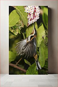 Πίνακας, Hummingbird with Flowers Κολίμπρι με λουλούδια