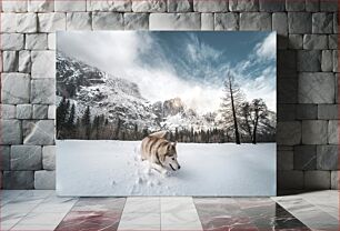 Πίνακας, Husky in Snowy Mountain Landscape Husky στο Χιονισμένο Ορεινό Τοπίο