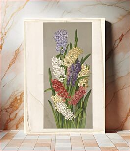 Πίνακας, Hyacinths