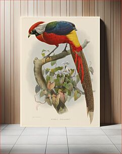 Πίνακας, Hybrid Pheasant (1870–1872) by Daniel Giraud Elliot