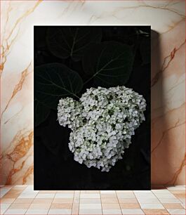 Πίνακας, Hydrangea Blooms Ανθίζει ορτανσία