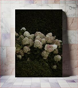 Πίνακας, Hydrangea Blossoms Άνθη Ορτανσίας