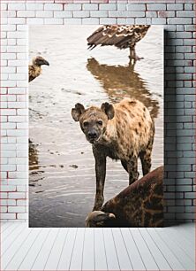 Πίνακας, Hyena in the Wild Hyena in the Wild
