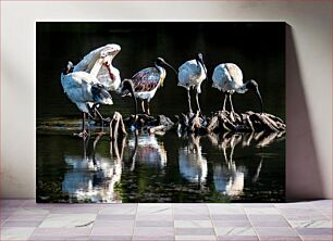 Πίνακας, Ibises Reflecting in Water Ibises που αντανακλούν στο νερό